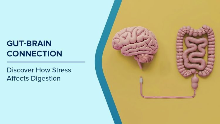 stress and gut health