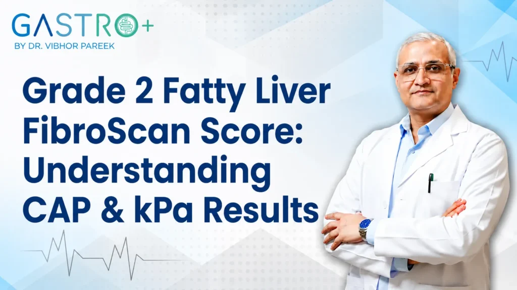 Fatty Liver Understanding
