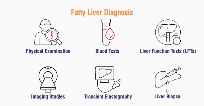 Fatty Liver Prevention — What Actually Moves the Needle